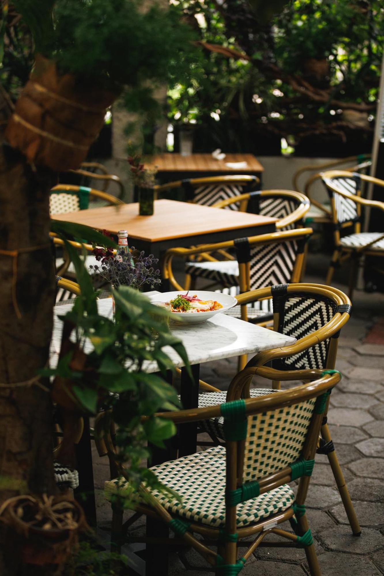 Отель Orchid House Polanco Мехико Экстерьер фото