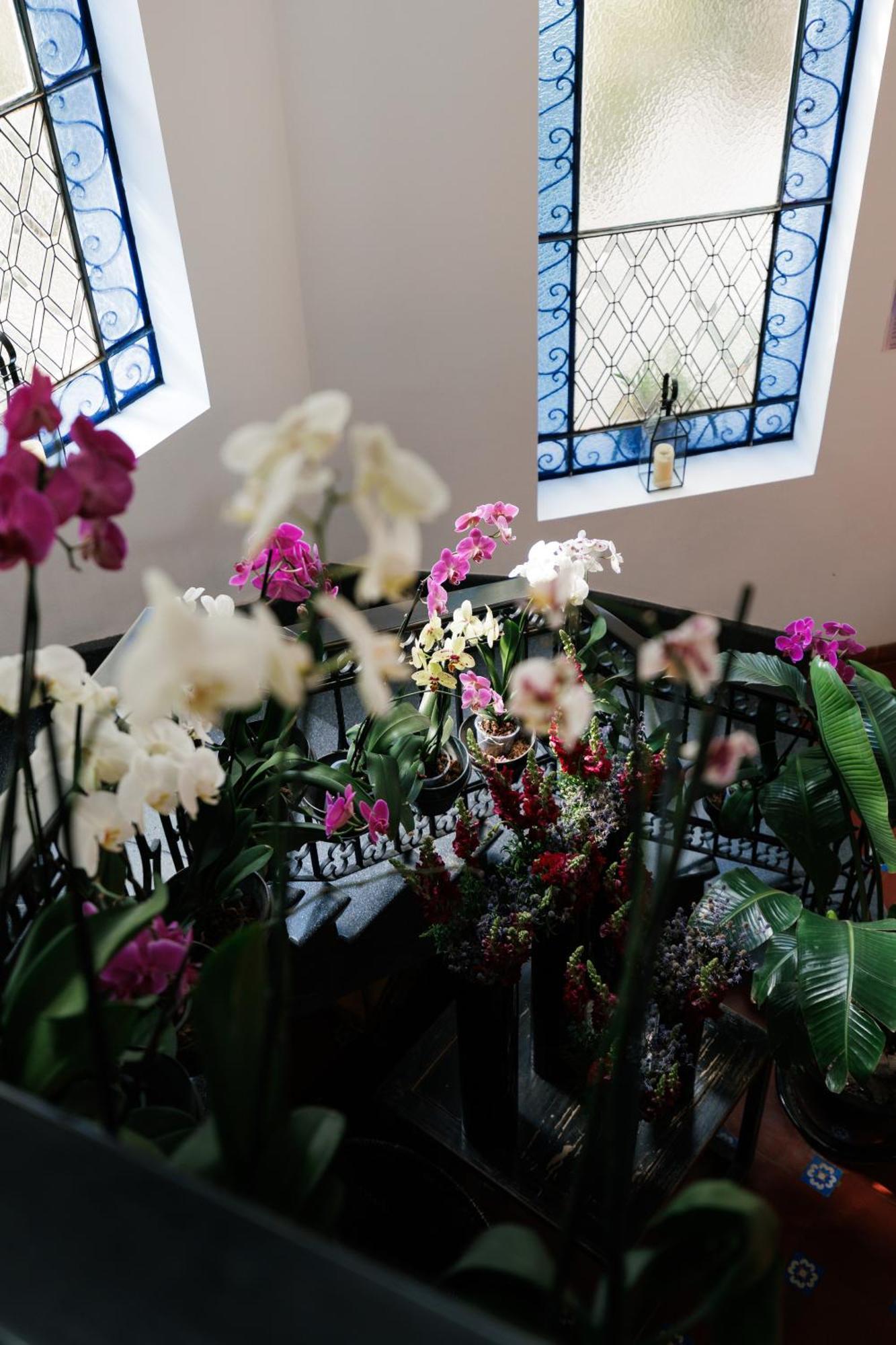 Отель Orchid House Polanco Мехико Экстерьер фото