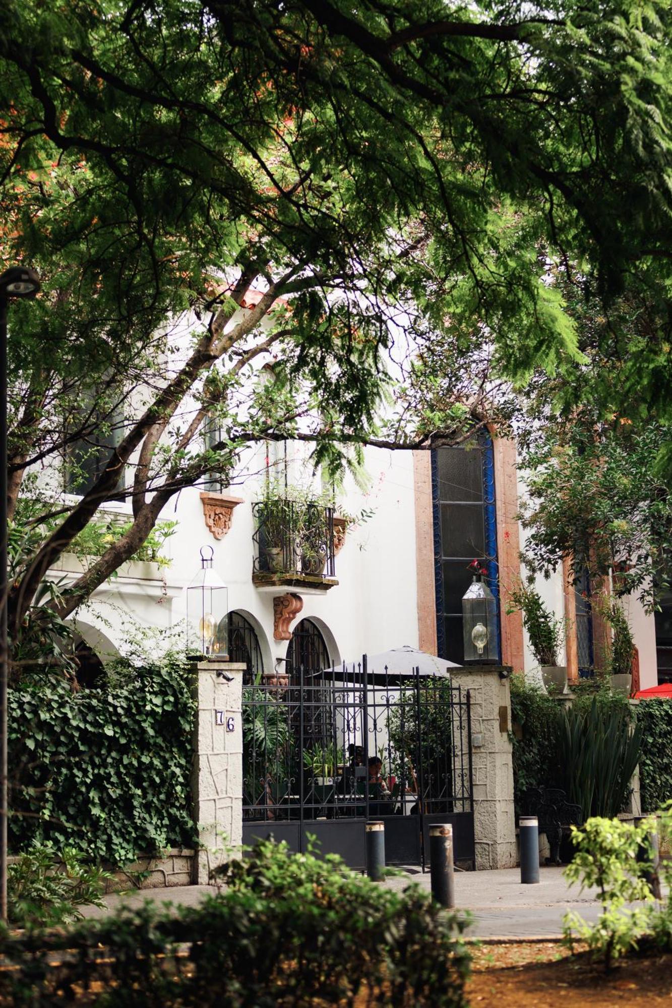 Отель Orchid House Polanco Мехико Экстерьер фото