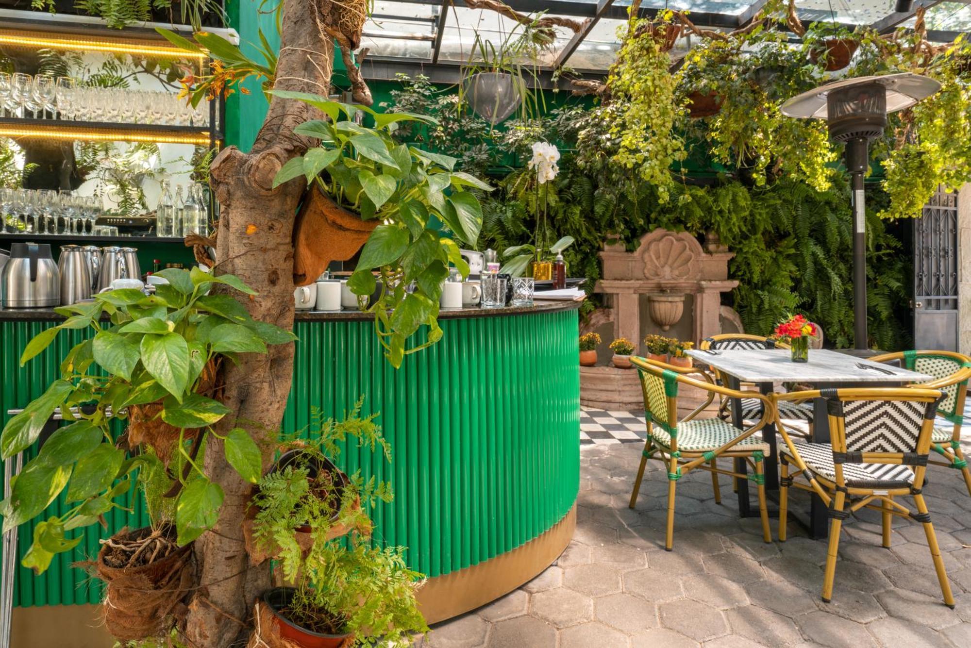Отель Orchid House Polanco Мехико Экстерьер фото
